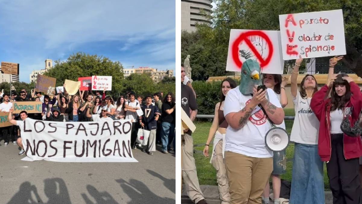 ¿Aves o drones? Barcelona se llena de manifestantes de la conspiración “los pájaros no existen”