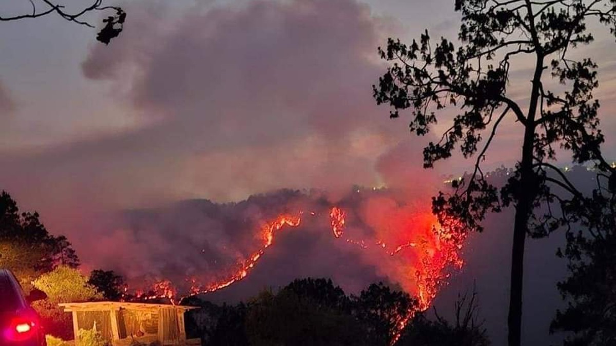 ¡Fuego en Puebla! Incendio forestal provoca cierre parcial en la carretera Zacatlán-Chignahuapan