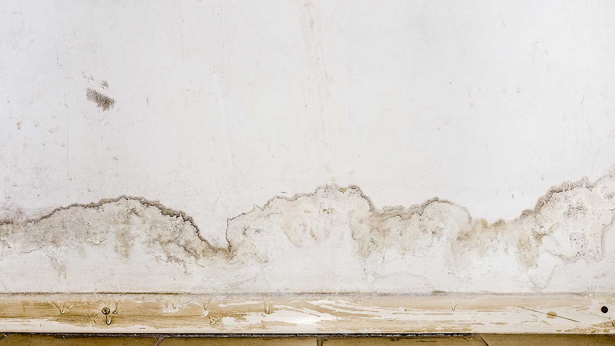 Cómo quitar manchas de humedad en las paredes con bicarbonato de sodio