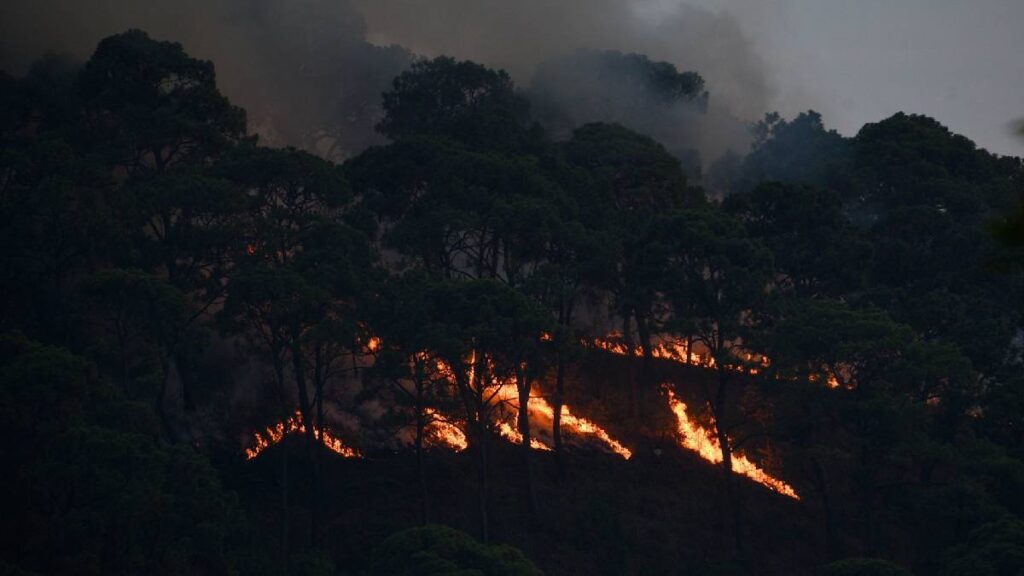 Reúnen víveres para brigadistas que buscan terminar con incendios forestales en Valle de Bravo