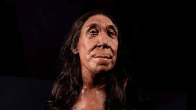 Rostro Mujer Neandertal