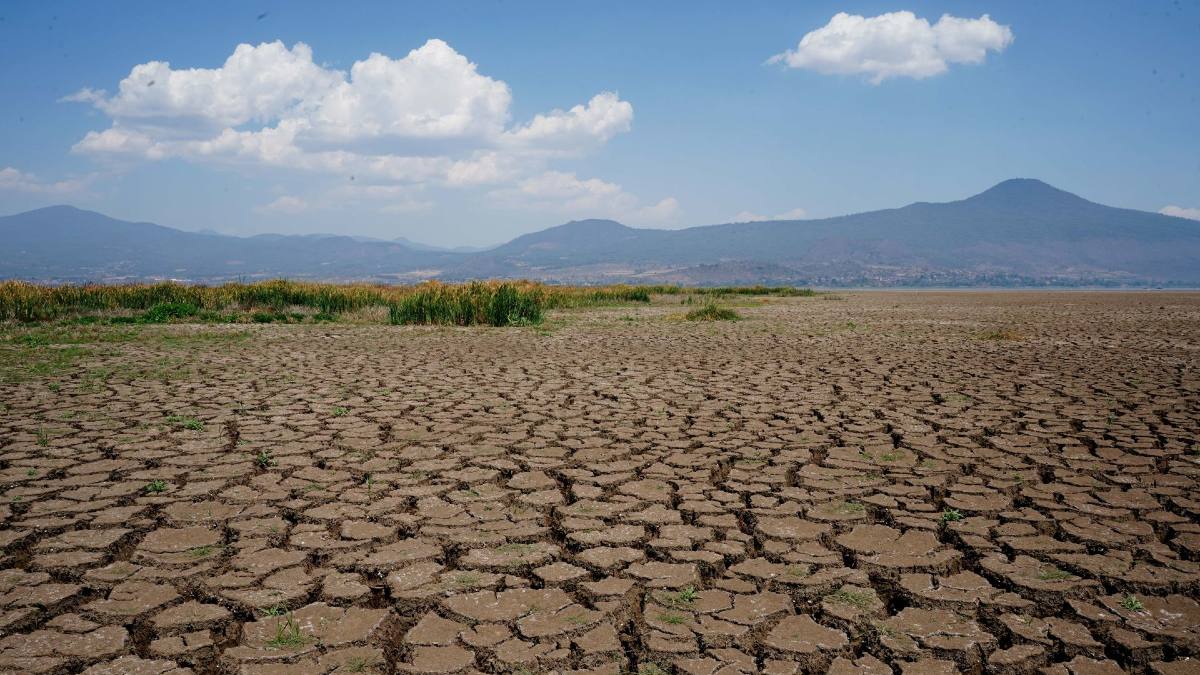 Sequía en México alcanza 70.76% del territorio del país: ¿cómo está tu estado?