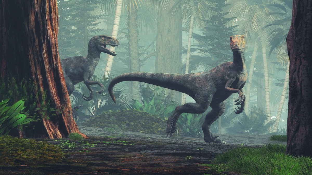 Más grande que en “Jurassic Park”: descubren enormes huellas de velociraptor en China