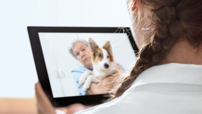Walmart y Pawp lanzan servicio de salud para mascotas