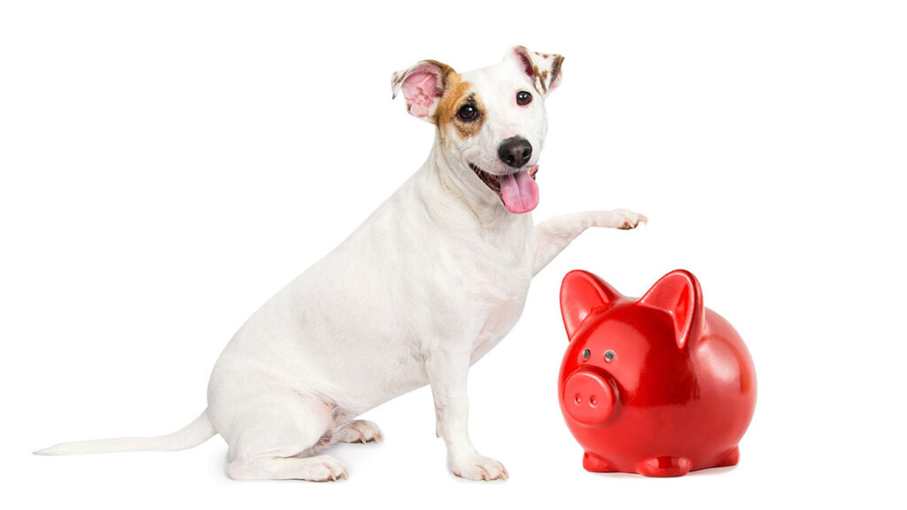 Mascotas ayudan a tener finanzas saludables: estudio