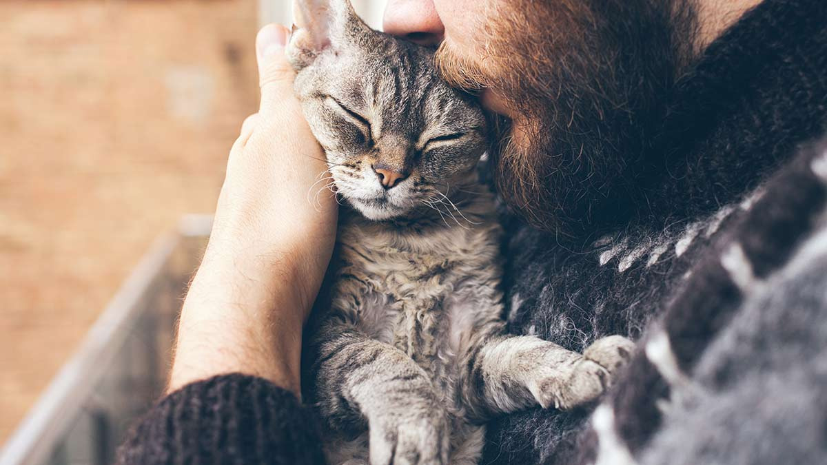 ¡Es momento de estrujarlo… si se deja! Hoy se celebra el Día de Abrazar a tu Gato; ve los beneficios de hacerlo