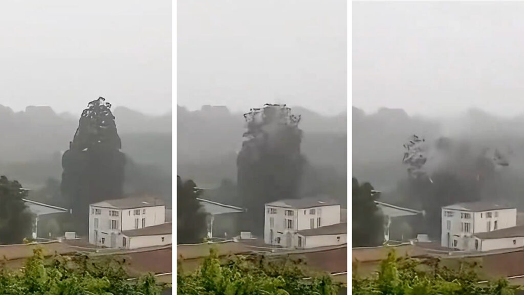 cae rayo y hace explotar árbol en poblado de Francia