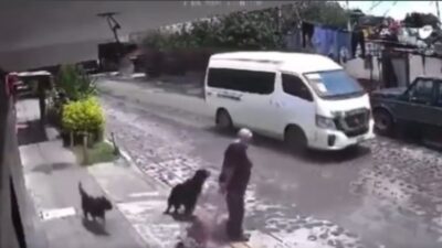 Perros atacaron a una mujer de la tercera edad en Querétaro