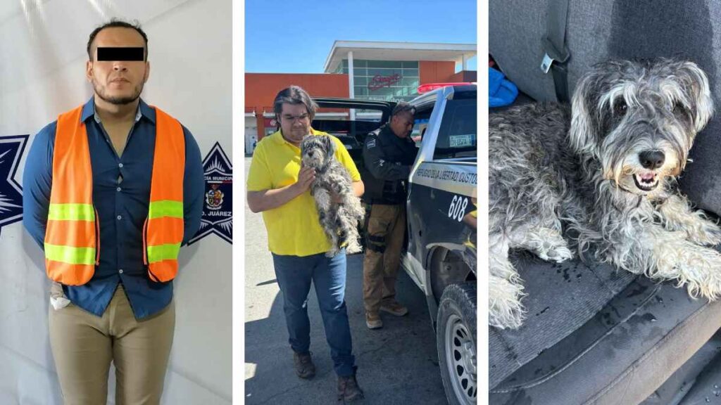 Maltrato animal en Ciudad Juárez, Chihuahua: cae un hombre por dejar a su perro encerrado en el carro