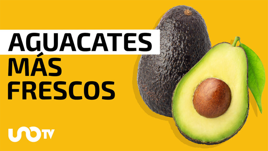 Cómo conservar el aguacate más fresco y por más tiempo