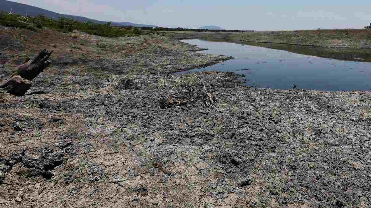 Más del 70% del territorio mexicano sufre degradación de suelos