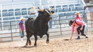 Hombre es embestido por toro en Tlaxcala y termina en el hospital
