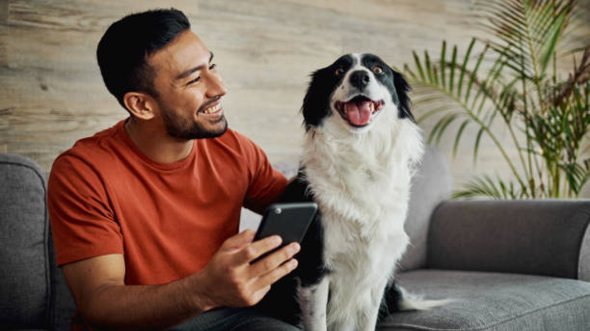 ¿Inteligencia Artificial para hablar con perros? El futuro de la comunicación con mascotas