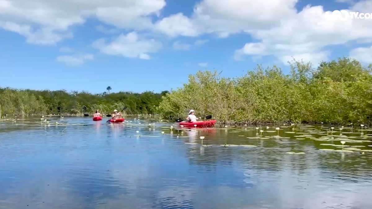 Tras las lluvias, renacen lagunas en Yucatán