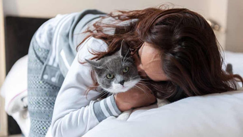 Día de Abrazar a tu Gato: 5 beneficios de hacerlo