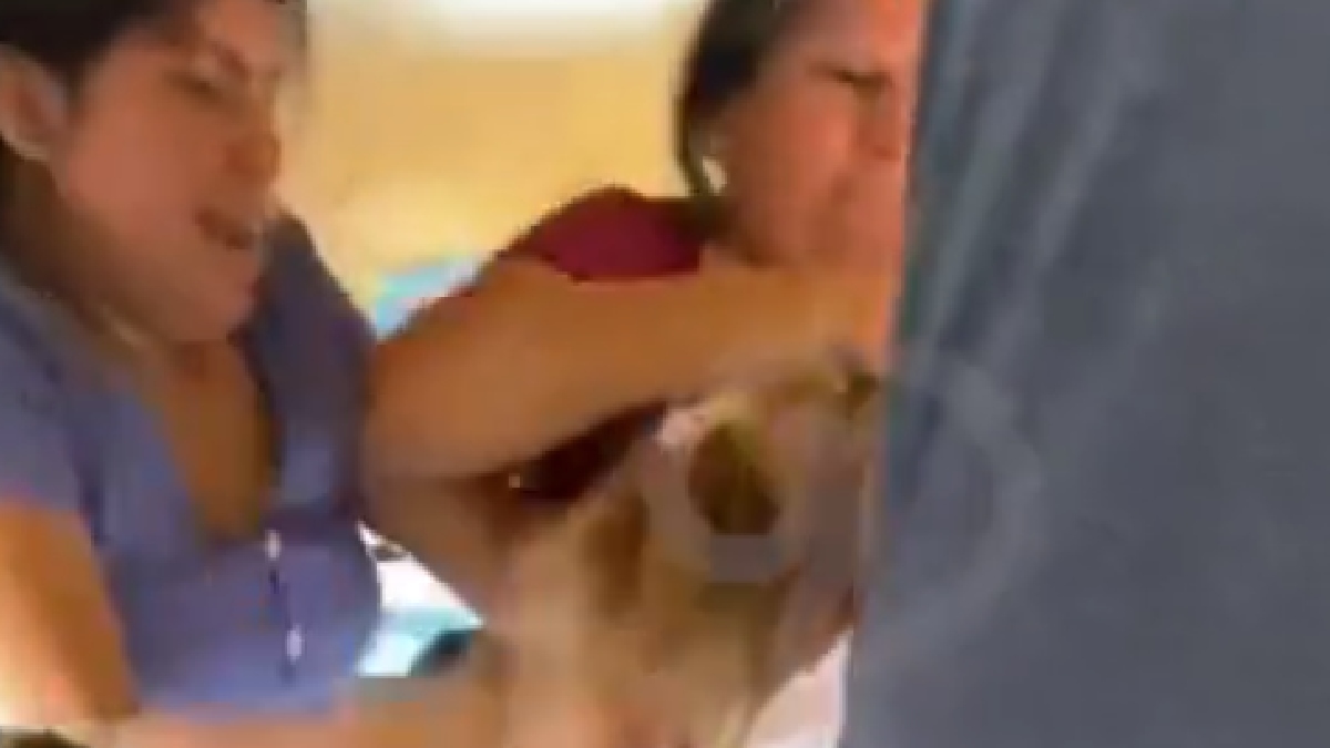 ¡Campal viral! Captan a mujeres peleando a bordo de una combi en Morelia