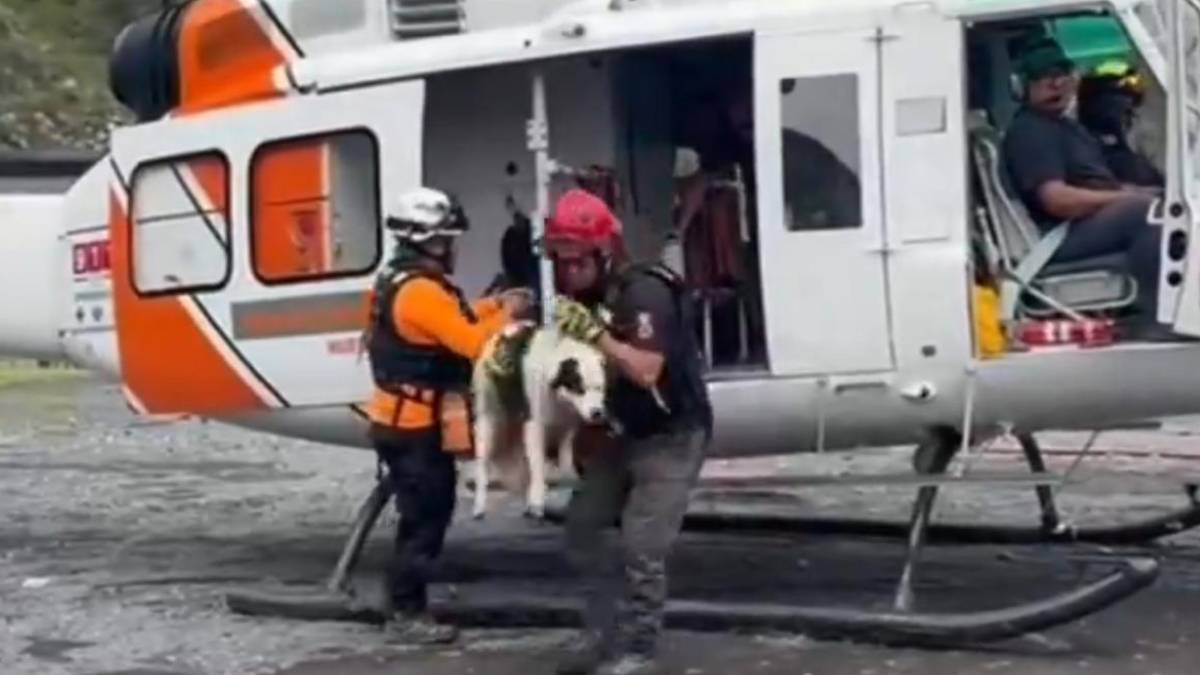¡Rescate canino! Ponen a salvo a dos perritos y sus dueños que estaban incomunicados en la Huasteca; video  