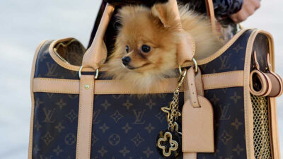 ¡Ah perro! Louis Vuitton tiene a los perritos como sus protagonistas en su nueva colección