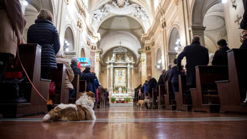 Padre se molesta por que las personas llevan a su perro a misa “No respetan a Dios”