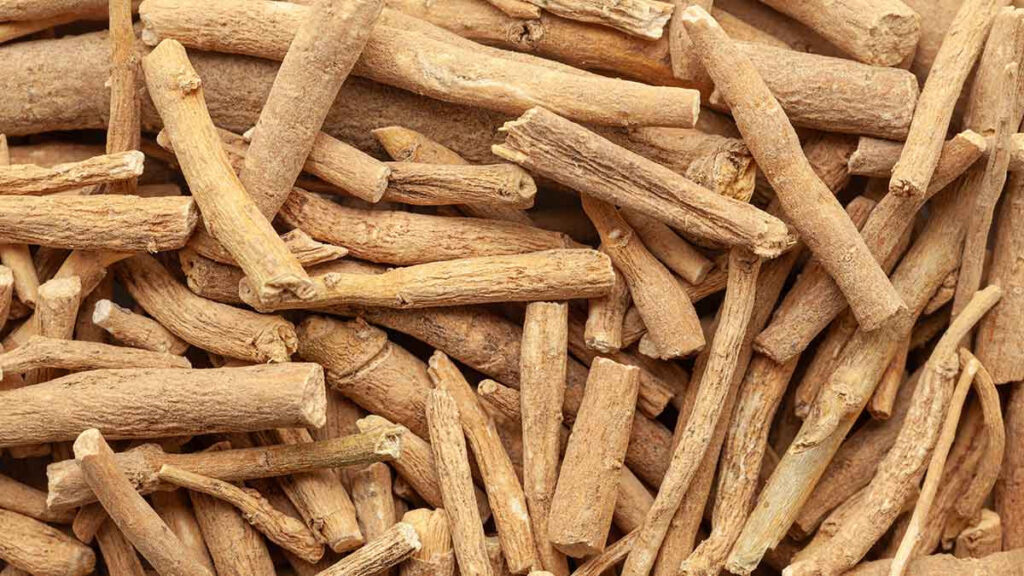 Ashwagandha: propiedades y beneficios de esta planta que está de moda