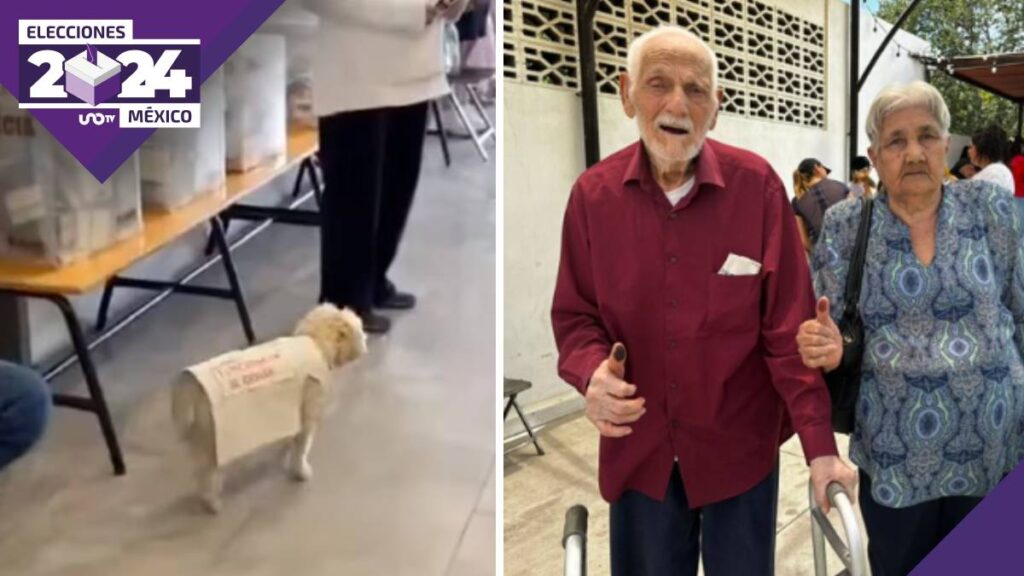 historias-y-momentos-inolvidables-de-las-elecciones-2024