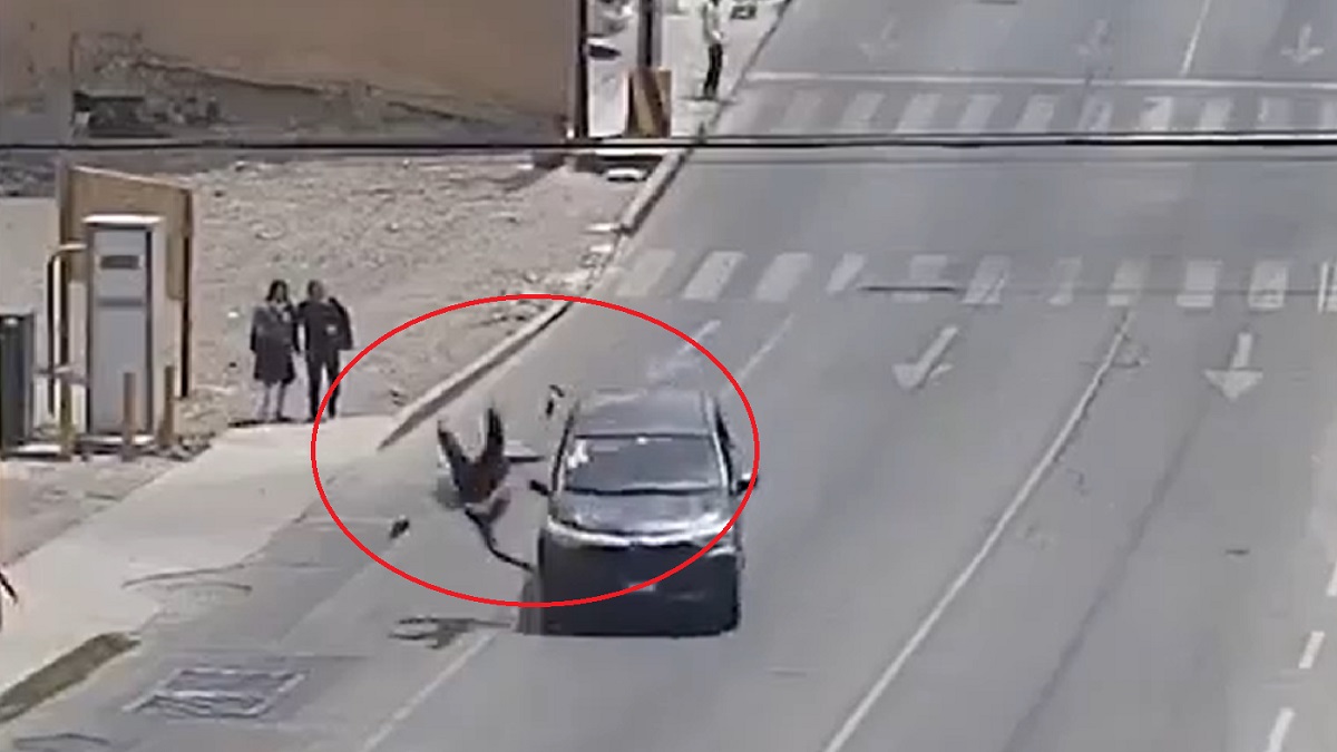 Fuerte golpe: automovilista atropella a adolescente en Puebla; menor sale volando