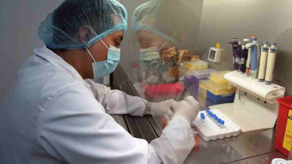 Secretaría de Salud informa que no existe riesgo para la población ante detección de primer caso humano de influenza aviar A (H5N2)