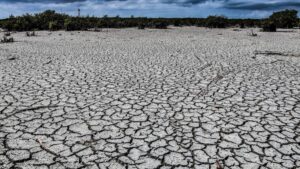 México en proceso de desertificación; en 2045 será un país árido