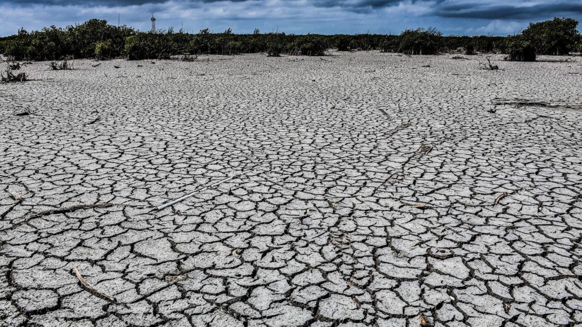 Sinaloa pone en marcha el Aquatón 2024 para atender sequía