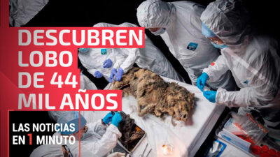 Las noticias de hoy, 27 de junio de 2024, en un minuto, hasta las 14:00 horas