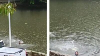 Tabasco: hombre se salva de ser atacado por cocodrilos en la Laguna de las Ilusiones