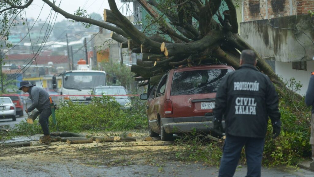 La tormenta tropical Alberto dejó daños materiales en Xalapa, Veracruz