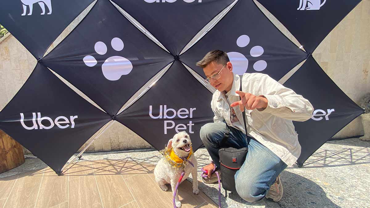 Uber Pet la app ideal para viajar con tu mascota, te decimos cómo