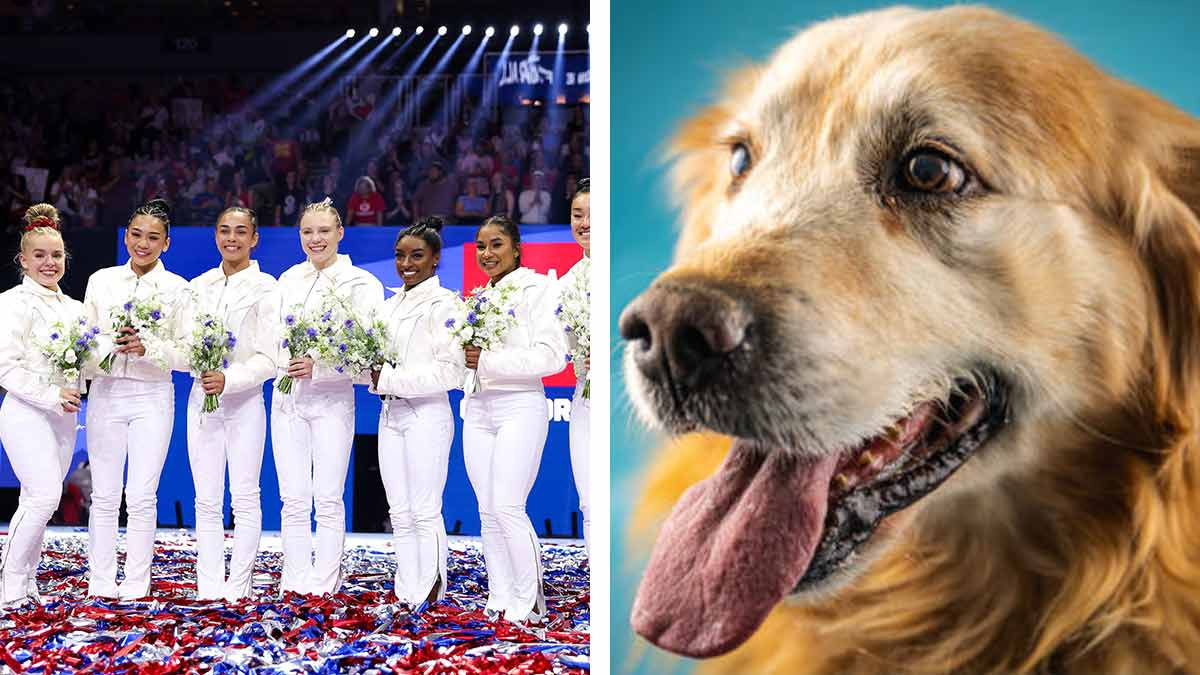 Beacon el perro de terapia que ayuda a entrenar al equipo olímpico de gimnasia de USA