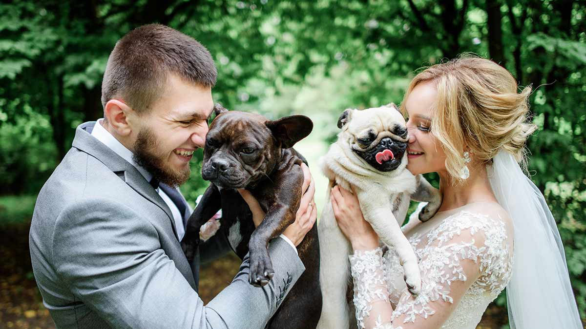 Veterinaria se hace viral al poner un área de adopción de perros en su boda