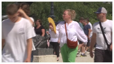 Calor parisino, hasta las palomas se bañan en las fuentes