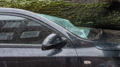 Conductor narra en video cómo cayó un árbol sobre su auto por las lluvias en Zapopan