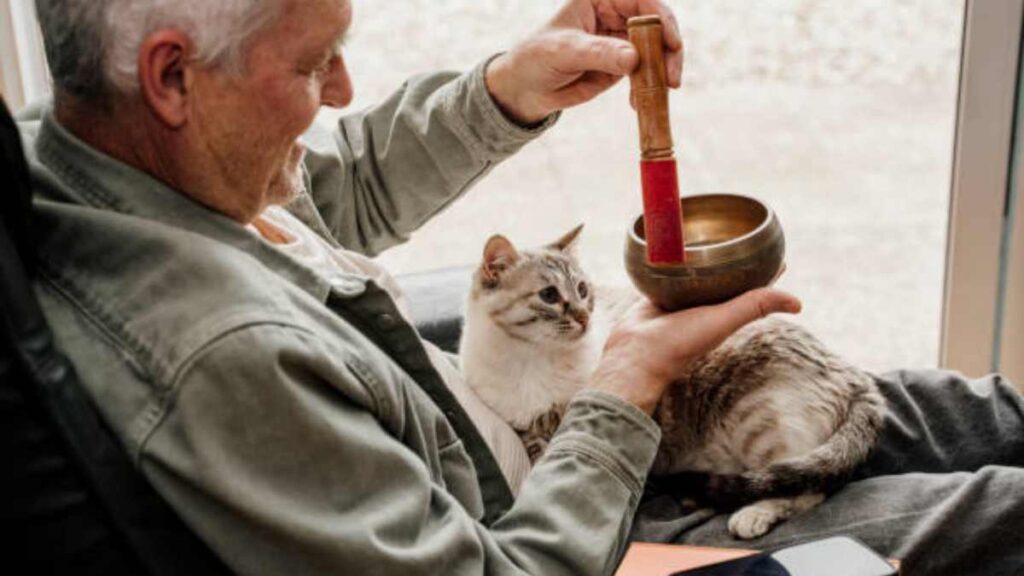 Qué es la musicoterapia para mascotas; conoce sus beneficios