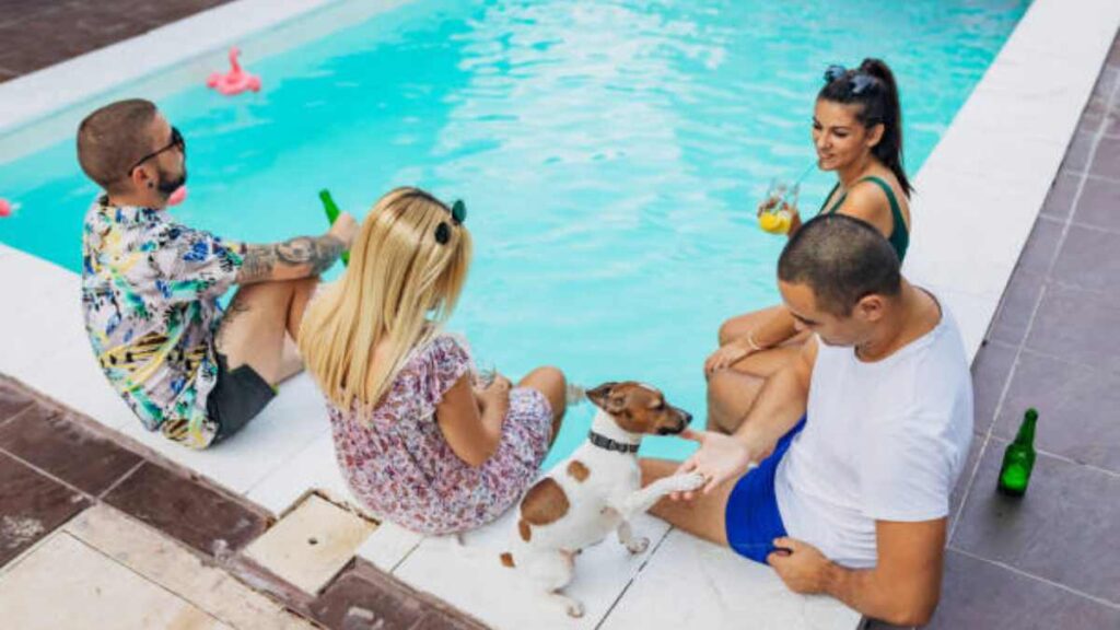 Ofrecen microchips para perros gratis en Pool Pawty; ve cuándo y dónde