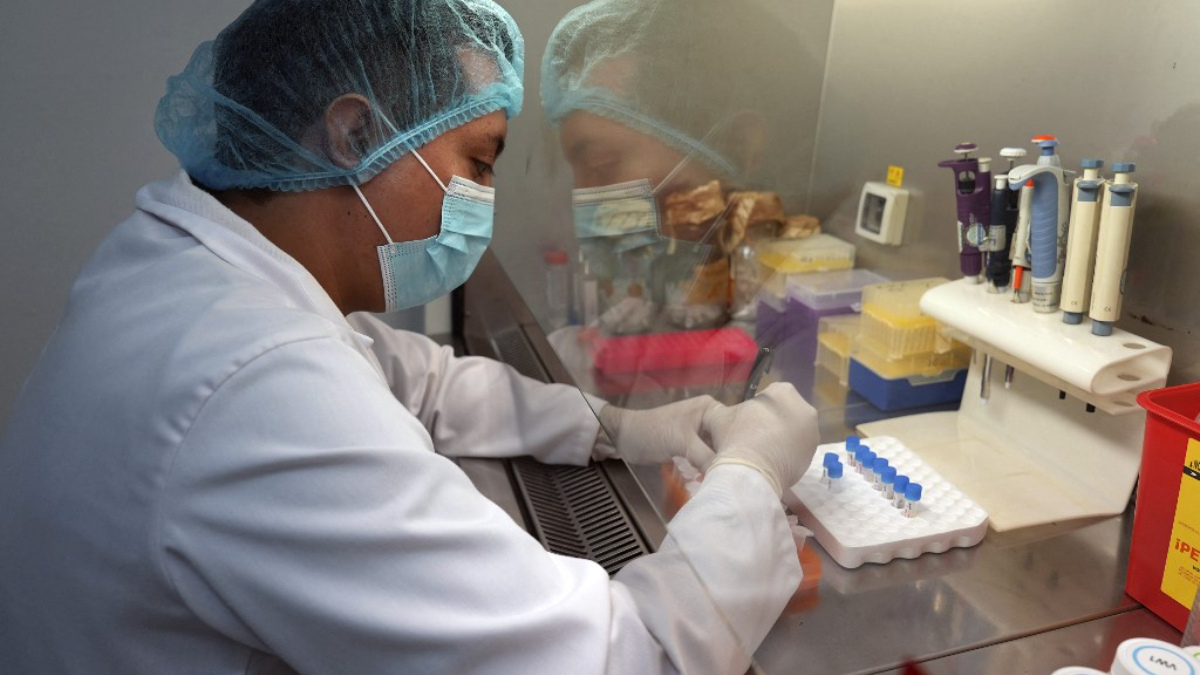 Gripe aviar H5N1 aumenta su potencial pandémico, según estudio