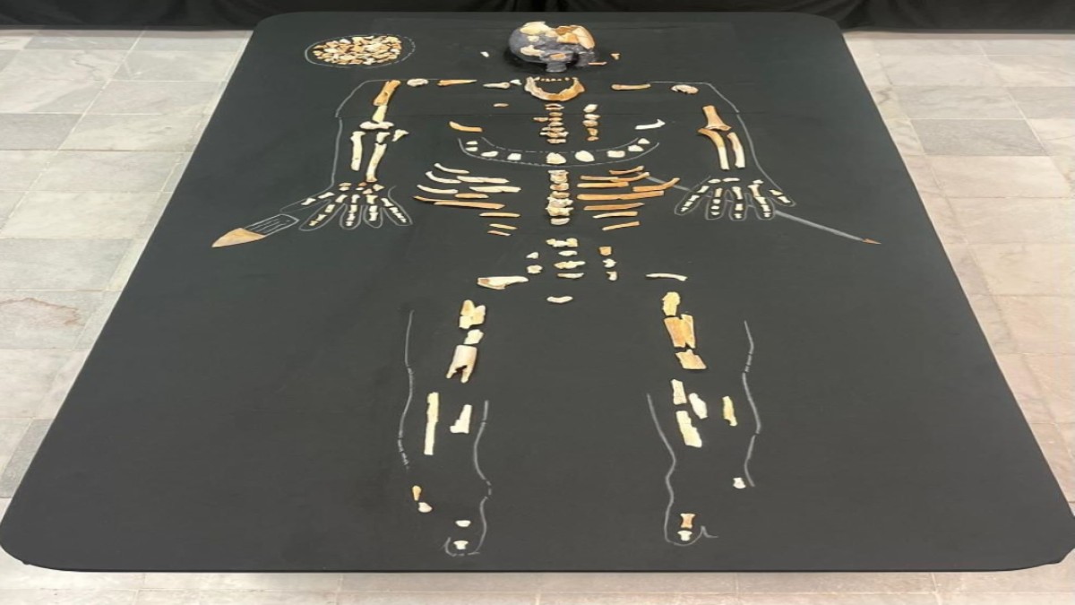 Descubren al “Hombre de Bilbao”, esqueleto prehispánico que revela un nuevo sitio arqueológico en Coahuila