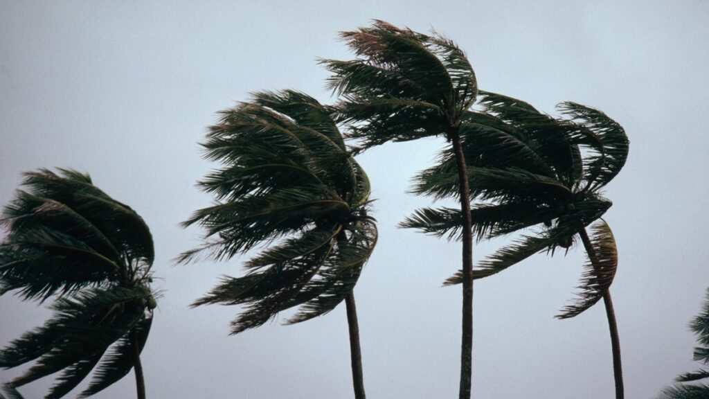 huracan-beryl-2024-decretan-alerta-roja-en-todo-yucatan