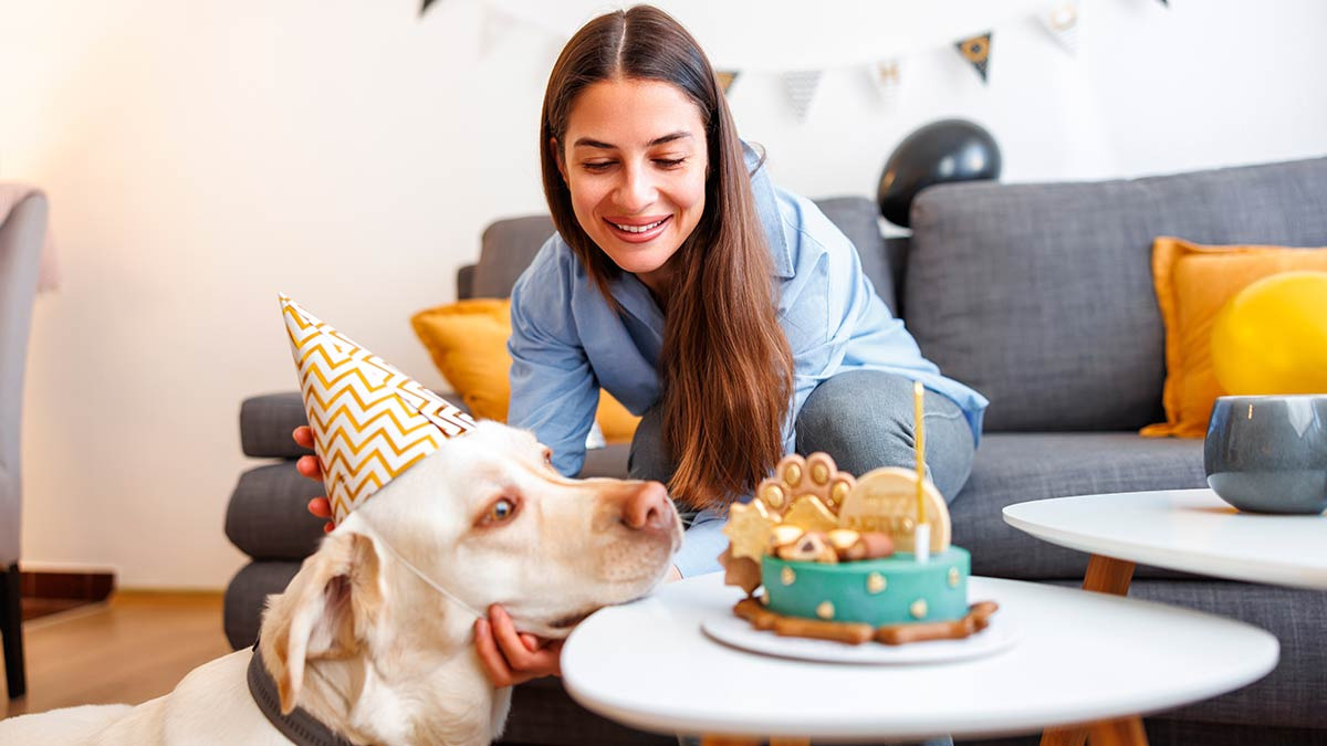 Ideas para celebrar a tu perro en su día