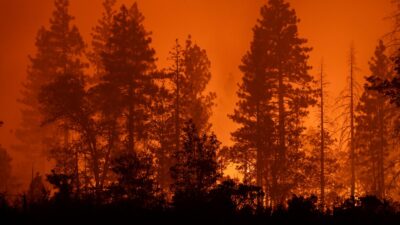 El incendio en California no ha podido ser consumido