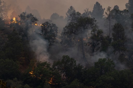 Incendio en California deja estragos y miles de hectáreas devastadas