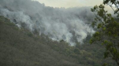 Incendio en zona boscosa de Veracruz