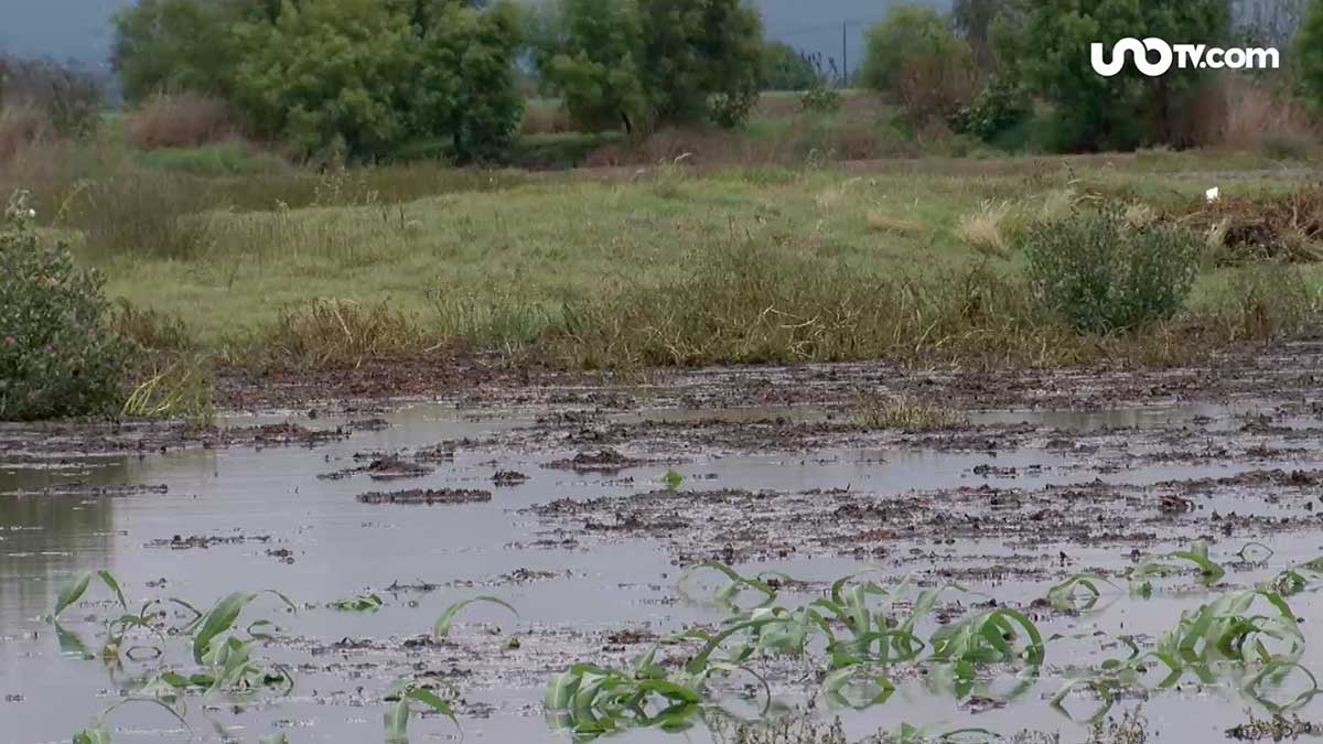 Vuelve agua a laguna de Zumpango, pero solo de drenaje