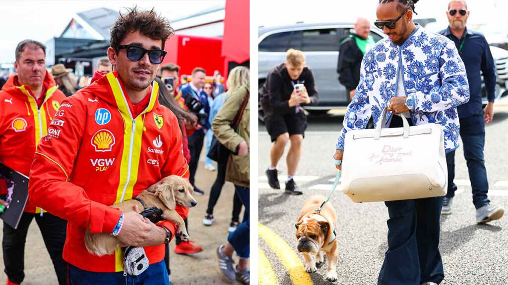 Lewis Hamilton Charles Leclerc Leo Roscoe perritos