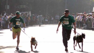 Perrotón 2024: organizan carrera con perros en CDMX