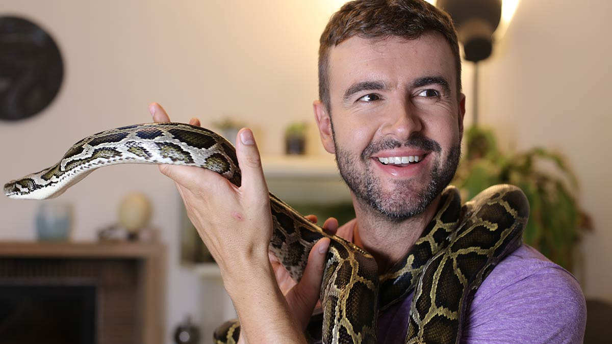 ¿Es bueno tener serpientes como mascotas?